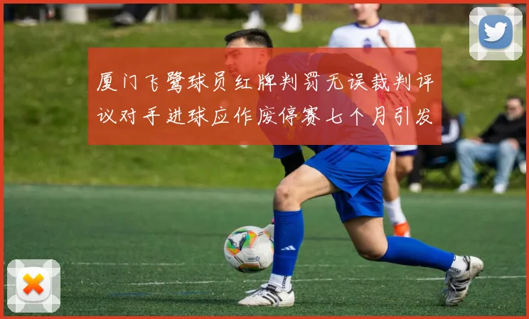 厦门飞鹭球员红牌判罚无误裁判评议对手进球应作废停赛七个月引发热议